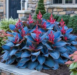 Хоста Грин Фог купить по цене от 669р. в интернет-магазине «Посадика» с доставкой почтой в в Лосино-Петровскийе и по всей России – [изображение №1].