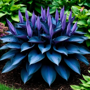 Хоста Сикрет Гров купить по цене от 570р. в интернет-магазине «Посадика» с доставкой почтой в в Лосино-Петровскийе и по всей России – [изображение №1].